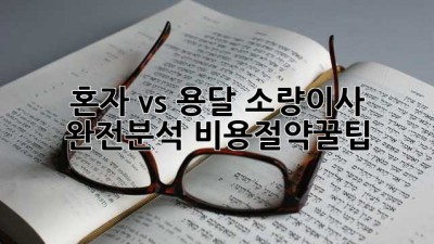혼자 vs 용달🚚 소량이사 완전분석! 비용절약꿀팁💰