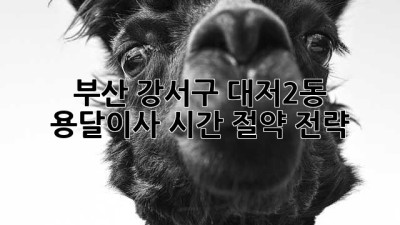 부산 강서구 대저2동 용달이사 시간 절약 전략!